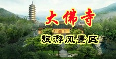 啊啊啊啊好爽视频在线免费看中国浙江-新昌大佛寺旅游风景区